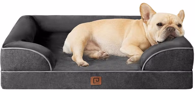 Cuccia ortopedica per cani, con memory foam, dimensioni 76x51 cm, colore grigio scuro