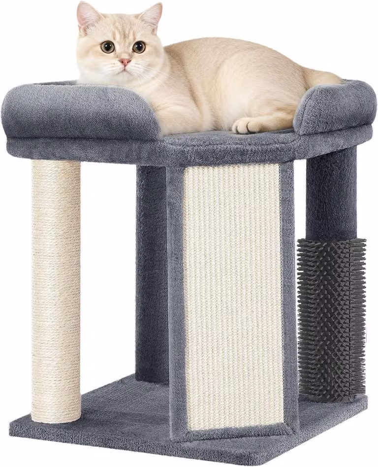 Albero per gatti da appartamento, 48 cm di altezza, colore grigio scuro, struttura robusta, ideale per la cura degli artigli