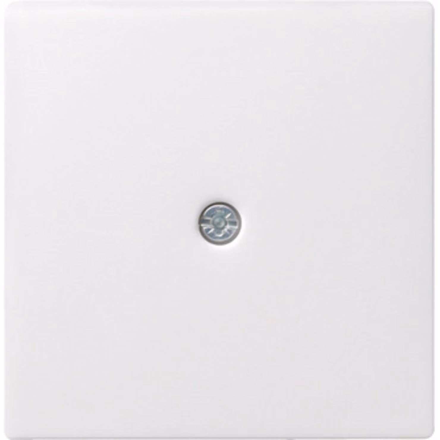 Gira Piastra centrale cavo uscita rws System55 027427
