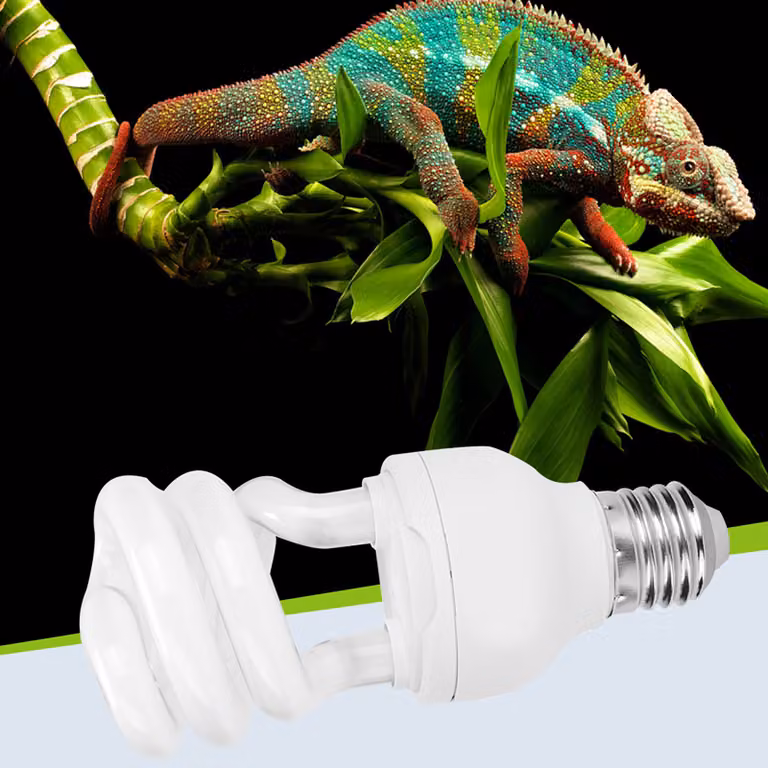 Lampada UVB per rettili, lampada fluorescente compatta da 13 W con additivo di calcio fluorescente, migliora la sintesi di D3 (10.0)