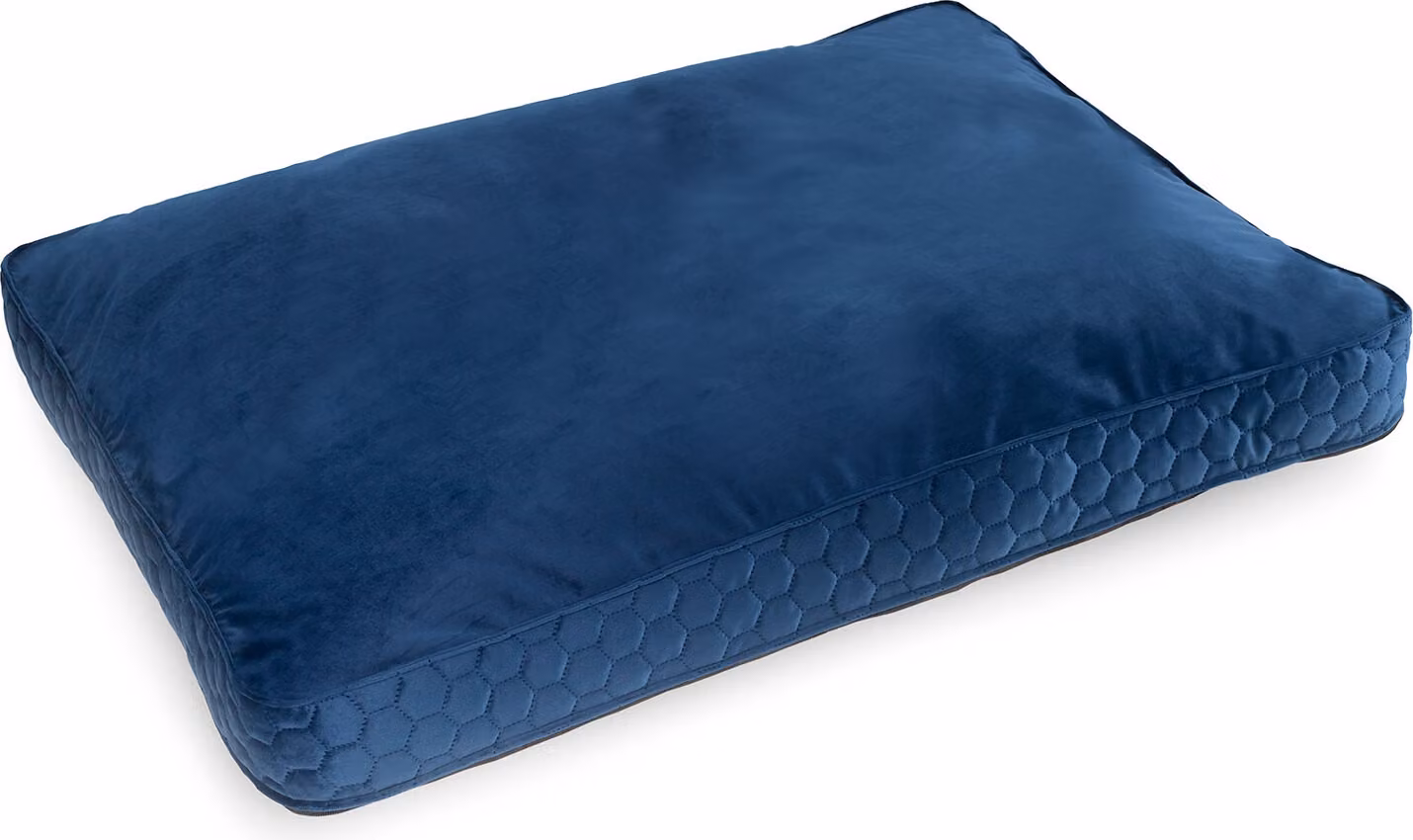 Esclusivo letto per cani Cuscino in memory foam per cani di taglia grande Letto per cani lavabile Camoscio XL: 75 x 100 cm Colore: velluto blu scuro