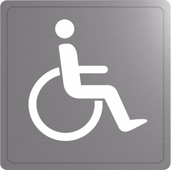 Delabie Wand Symbol Behinderten-WC Edst. 1.4301 sat (ex-0011370000)