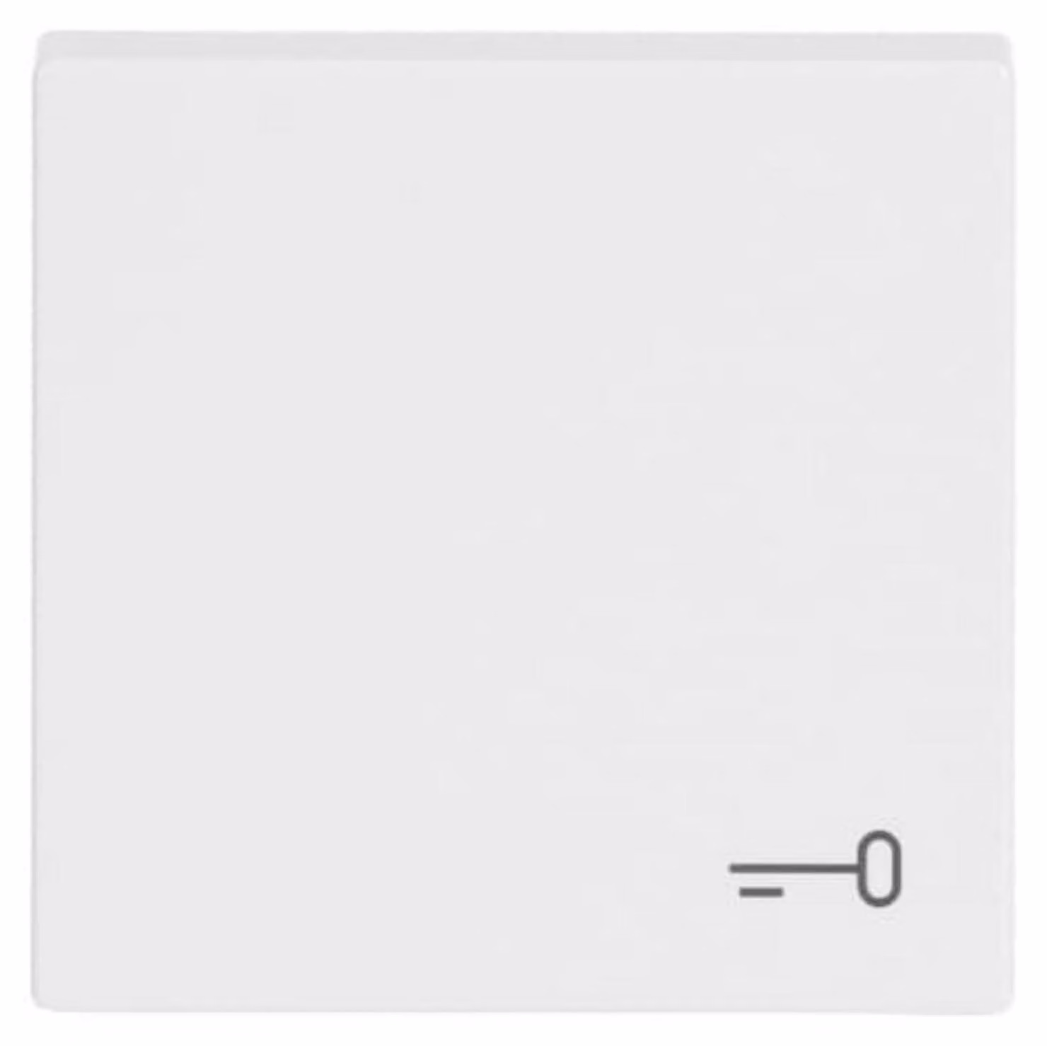 Busch-Jaeger Chiave WIPPE 2520 TR-84 (2520 TR-84)