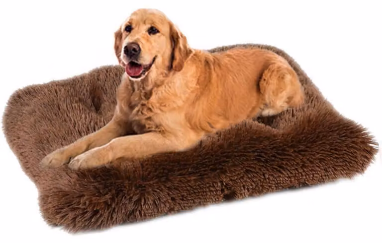 Cuccia per cani, lavabile, in peluche, morbida, color marrone scuro, dimensioni 65x48 cm