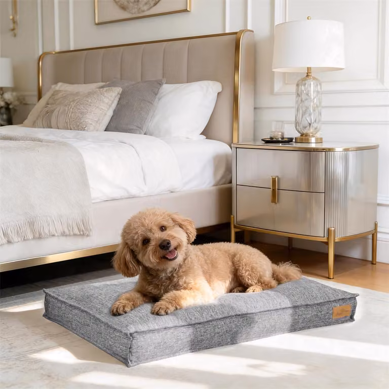 WISFOR Lettino per cani, divanetto per cani, cuscino per cani, antiscivolo, rivestimento sfoderabile e lavabile, M: 75 x 50,5 x 10 cm, grigio