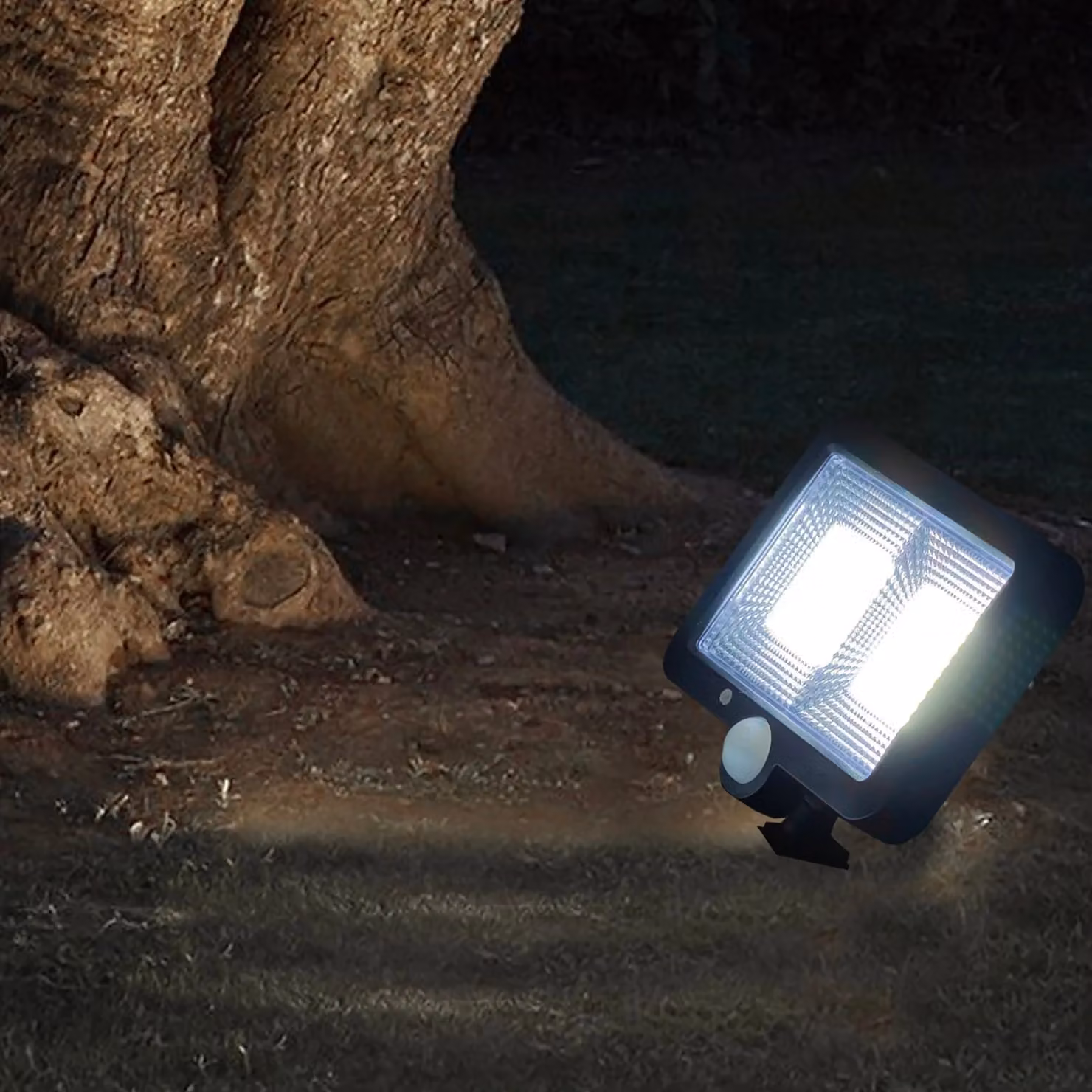 DICTROLUX Faro Solare LED con Sensore di Movimento, Luce Fredda, Nero – 2