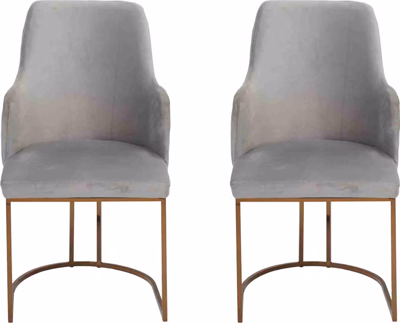 Modern Esszimmerstuhl Küchenstühle Luxus Design 2x Stühle Lehnstühle Grau