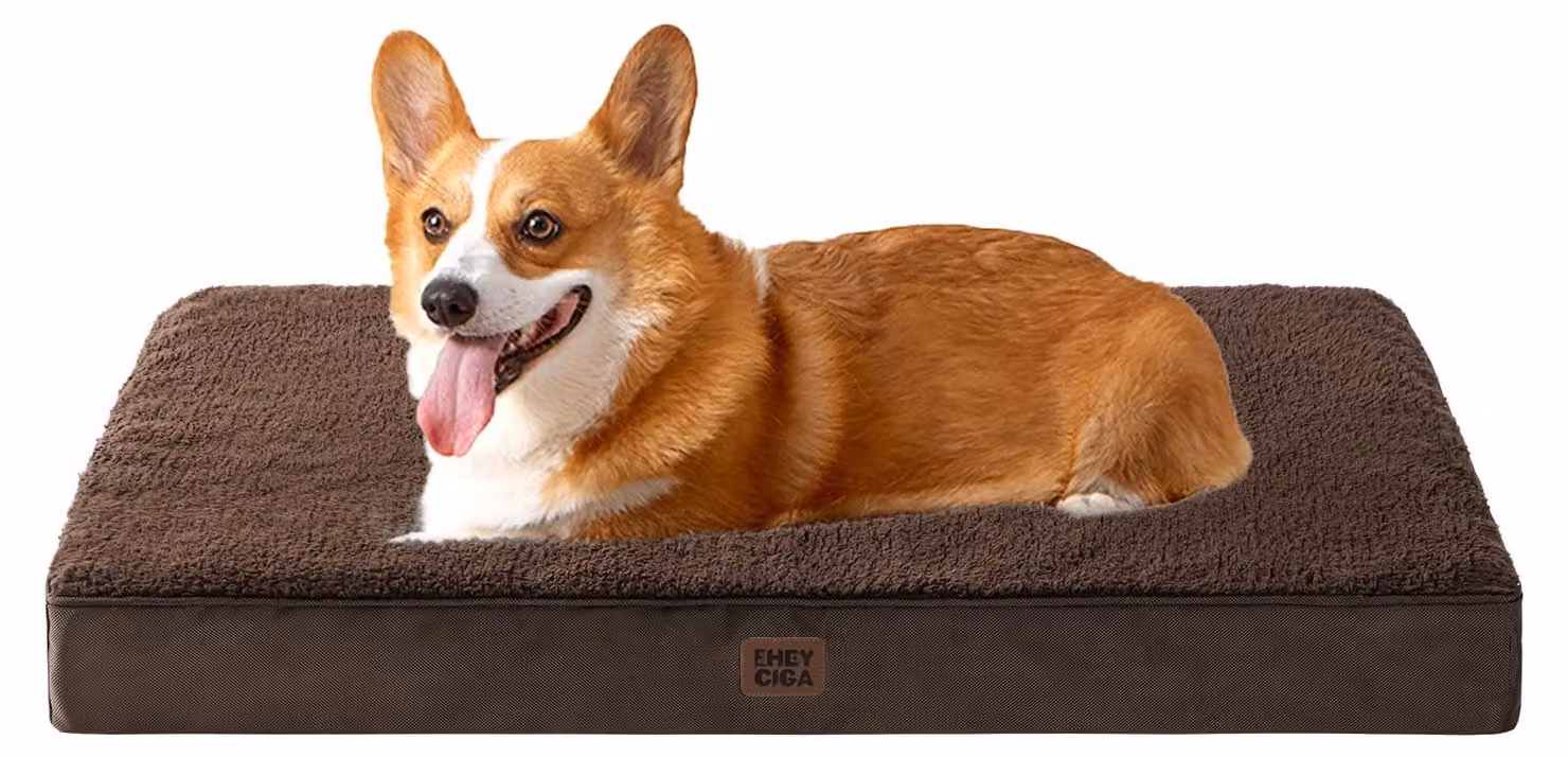 Letto ortopedico per cani di taglia media