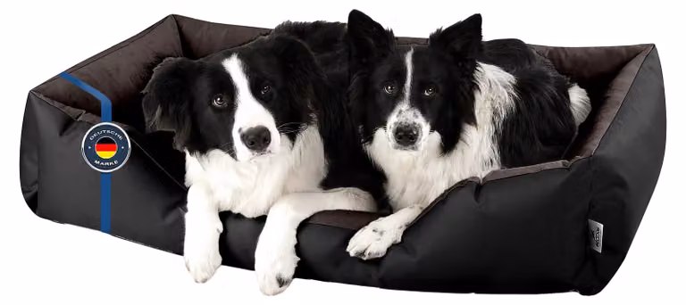 BedDog letto per cani LUPI divano per cani cuscino per cani lavabile, BLACK-FIELD (nero/marrone),(XXL) circa 120x85x23cm