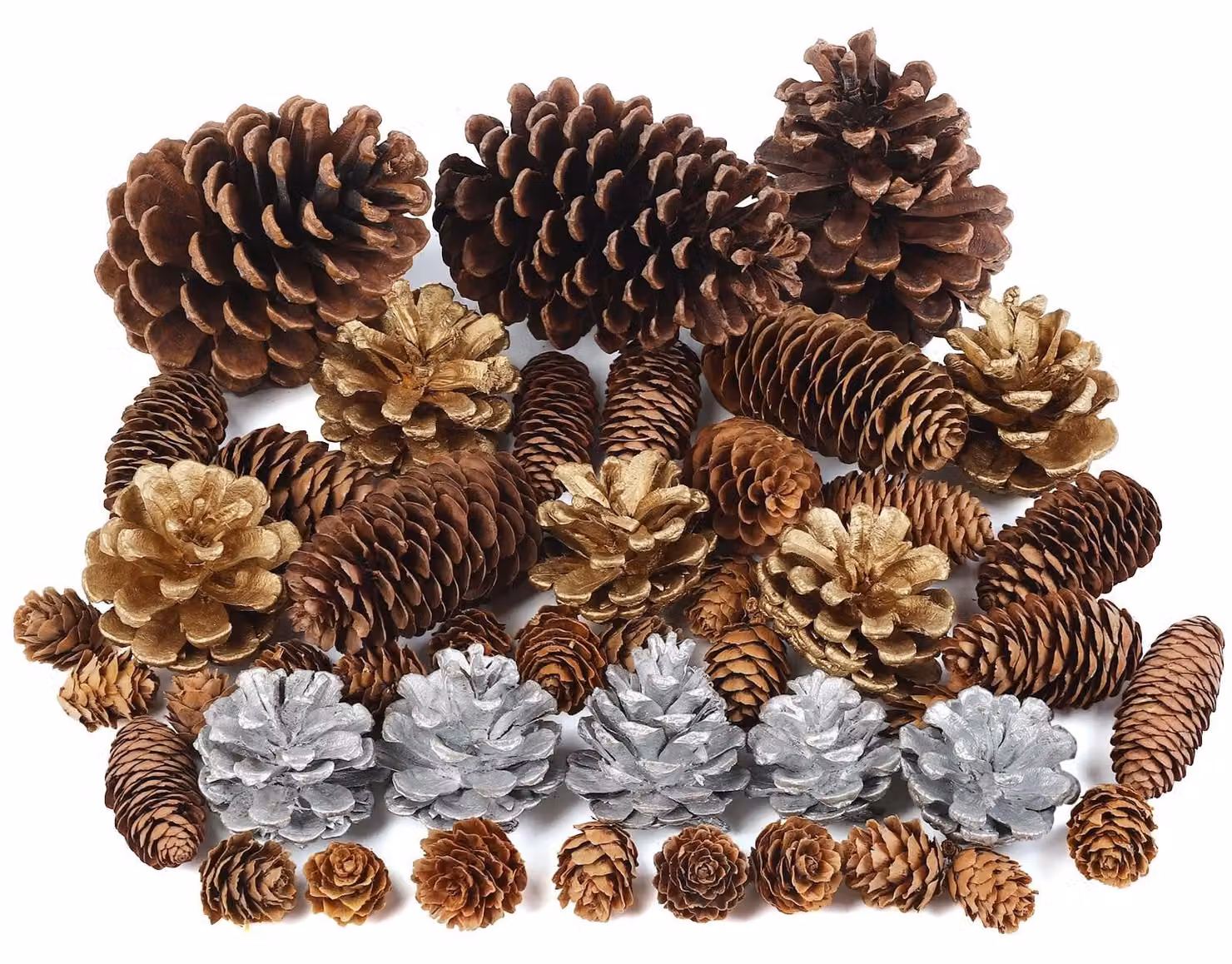45 coni di pino naturali per decorazioni natalizie e progetti creativi fai-da-te
