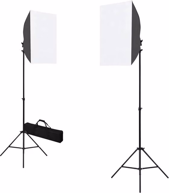 Kit per Studio Fotografico con Luci Softbox e Fondale 3055060