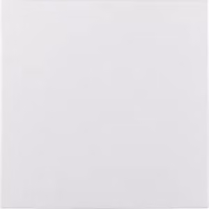 Berker 75940289 Tappo cieco bianco polare opaco Berker S.1/B.3/B.7