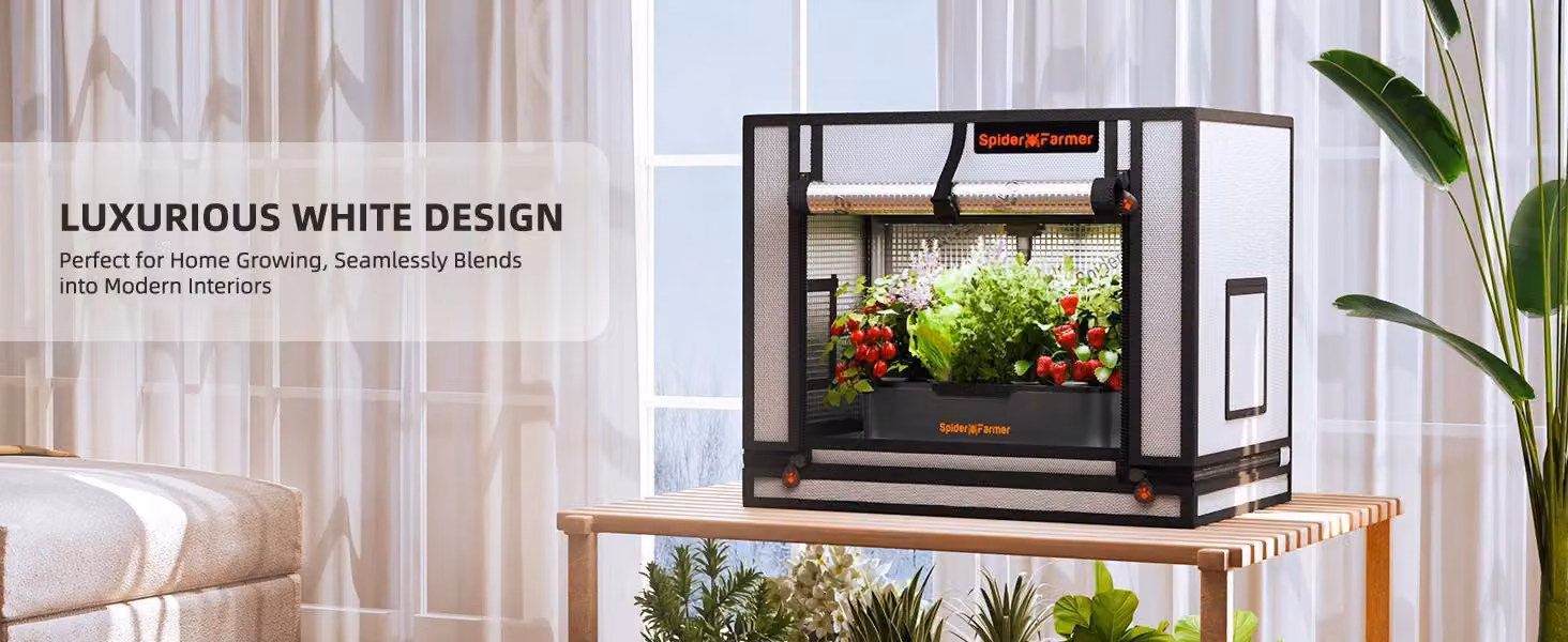 Tenda da coltivazione Growbox - SF-60X40X50 - 60×40×50 cm - Mini da interno - Tessuto Oxford - Per coltura idroponica, talee e semina