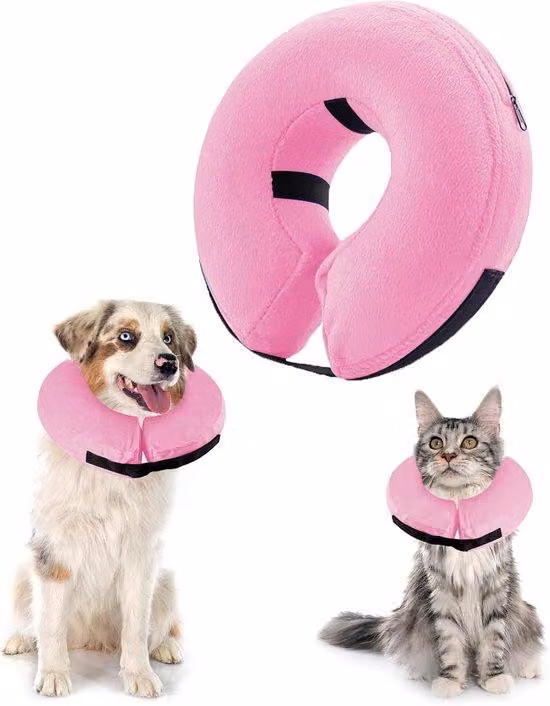 Collare regolabile per cani e gatti di piccola taglia, rosso, taglia extra small, anti-morso e anti-perdita