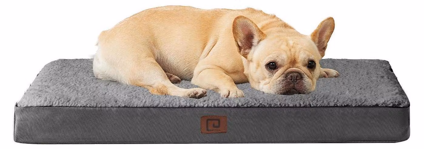 Cuccia ortopedica per cani, 76x51 cm, lavabile, grigia