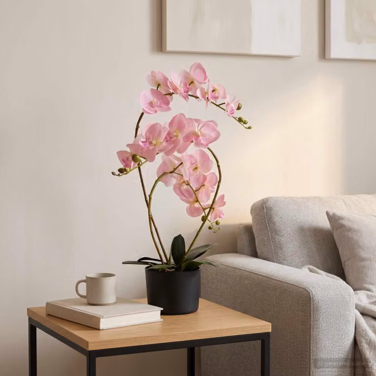 Orchidea artificiale con vaso rosa vidaXL, H 65 x L 45 x P 15 cm