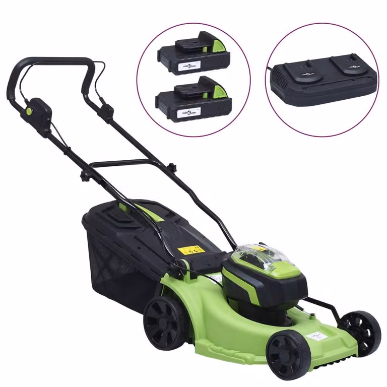 vidaXL Tosaerba a batteria con due pacchi batteria 20V 2000 mAh Li-Ion