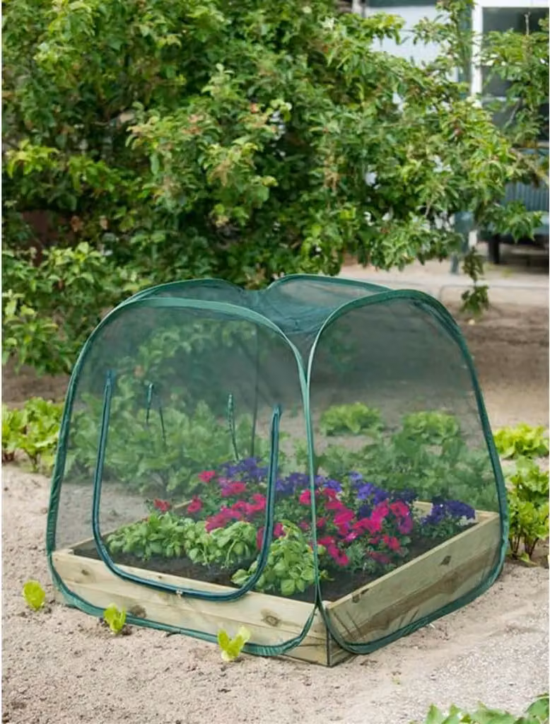 Serra pop-up Nature 100 x 100 x 100 cm 6020409
