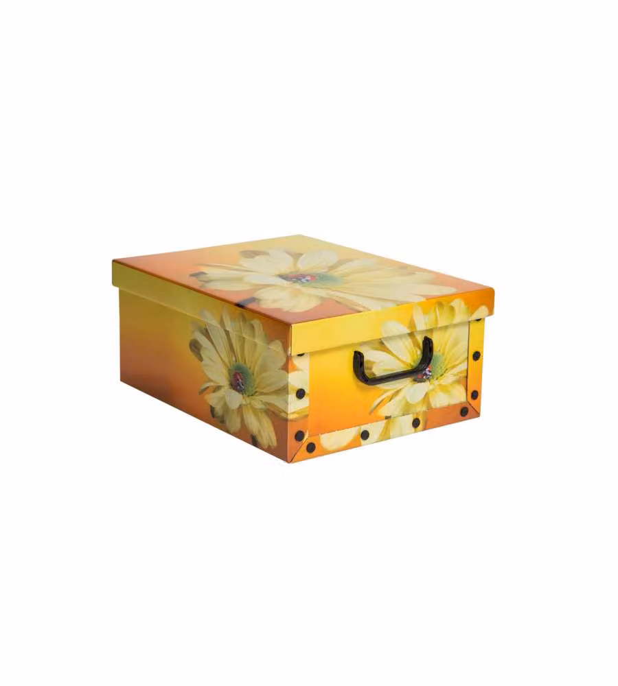 Scatola Componibile 37 X 31 X 16 H Cm