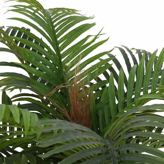 Palma Artificiale Verde DESIGN IN con 15 Foglie, Altezza: 200 cm
