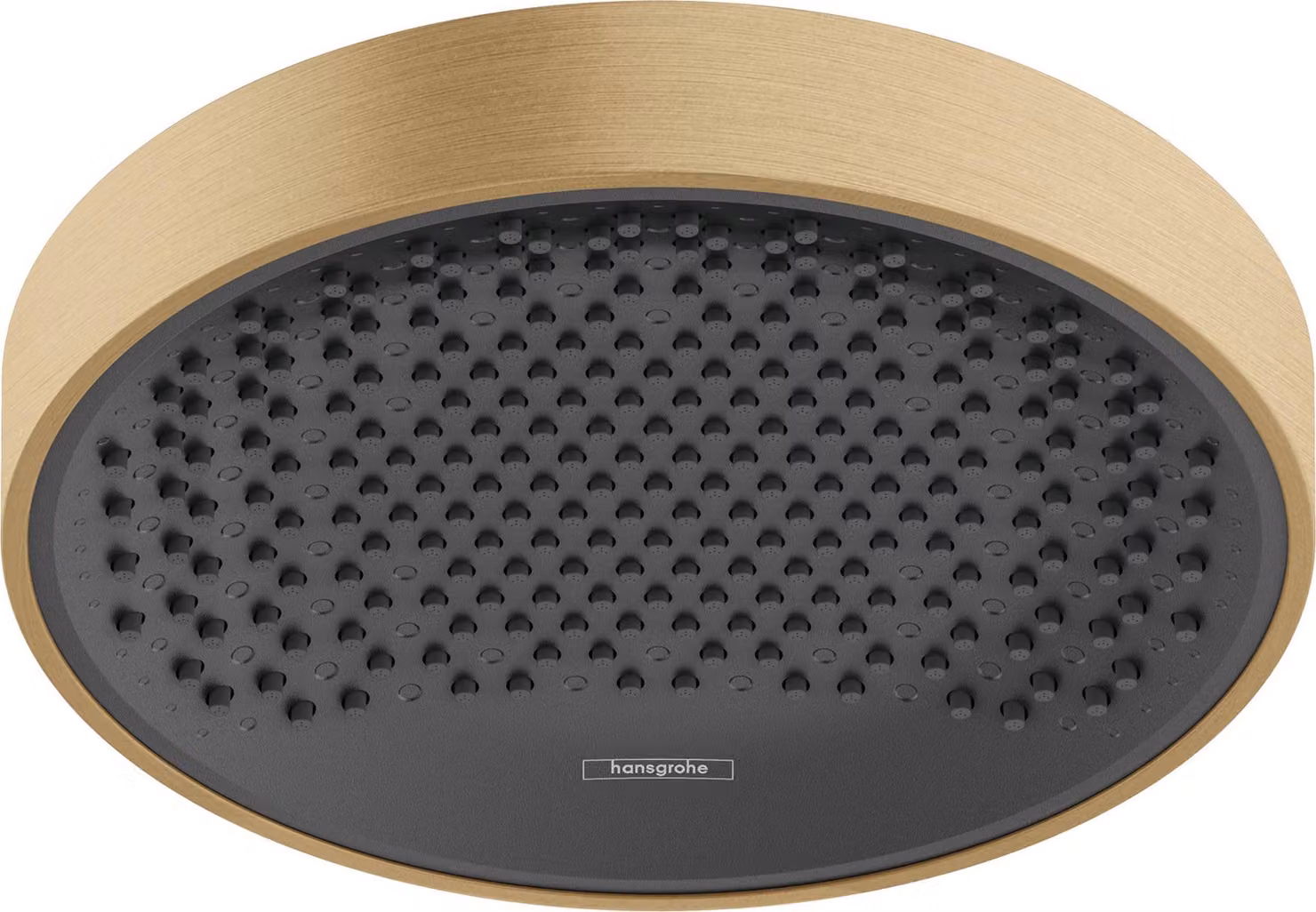 hansgrown Rainfinity douche de plafond 250 1jet, 26228140, 26228140