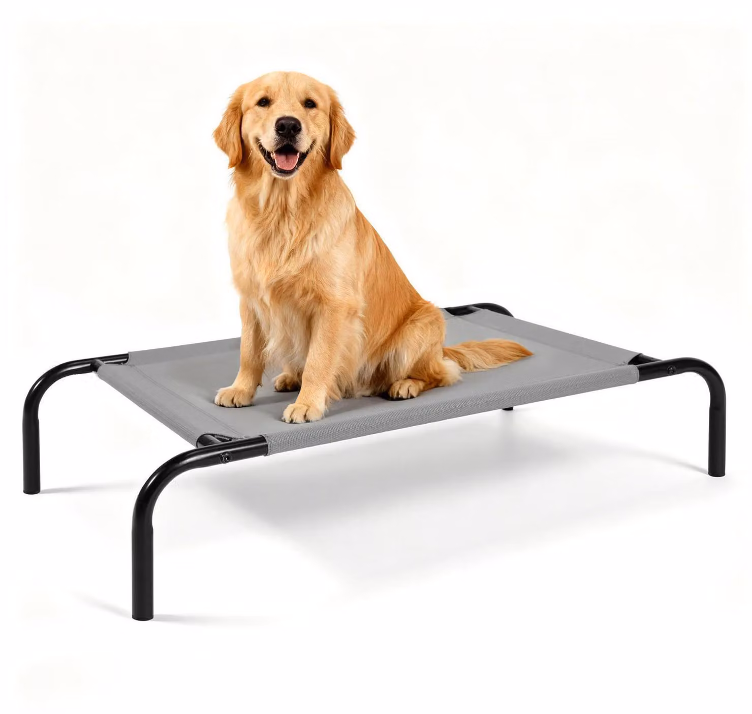 Letto rialzato per cani, struttura in acciaio, rete traspirante in tessuto Teslin, altezza 20 cm, taglia L