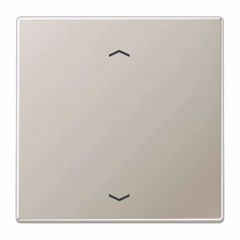 Jung ENOES2990P-L Trasmettitore da parete wireless EnOcean con simboli, acciaio inossidabile (verniciato)