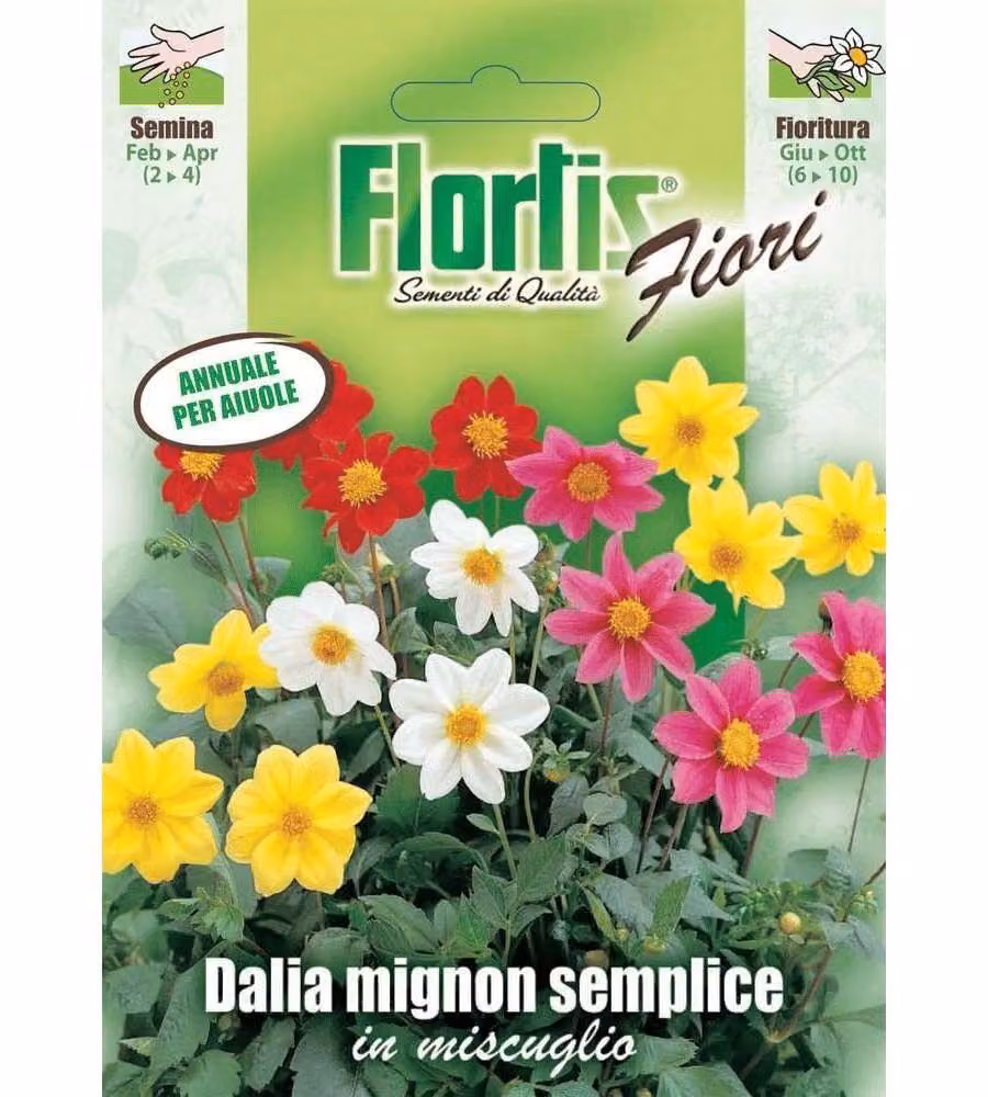 Flortis Sementi Dalia Mignon Semplice in Miscuglio - Fioritura Prolungata