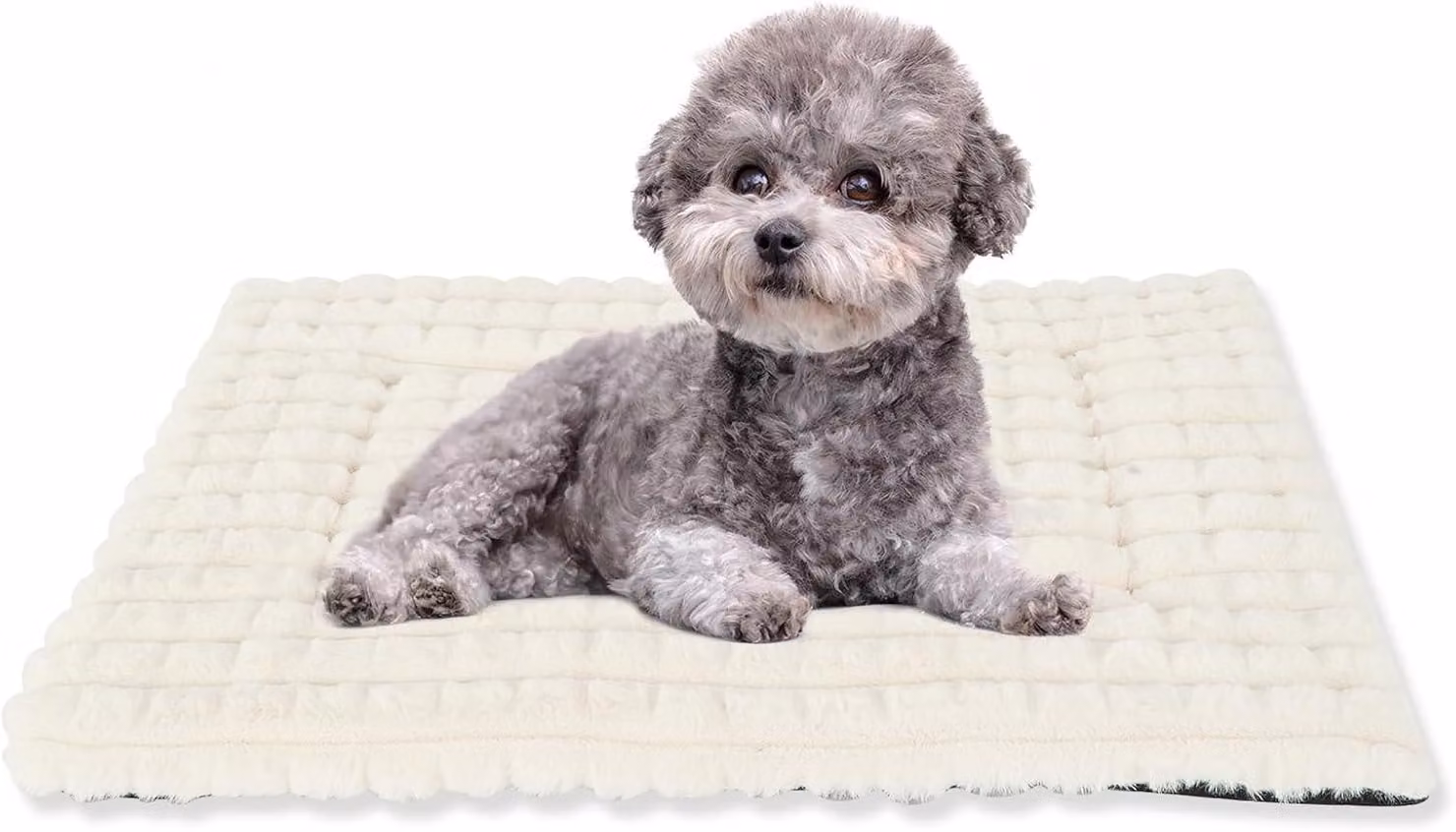 Cuccia per cani, imbottita, con base antiscivolo, dimensioni 100 x 70 cm, per animali domestici