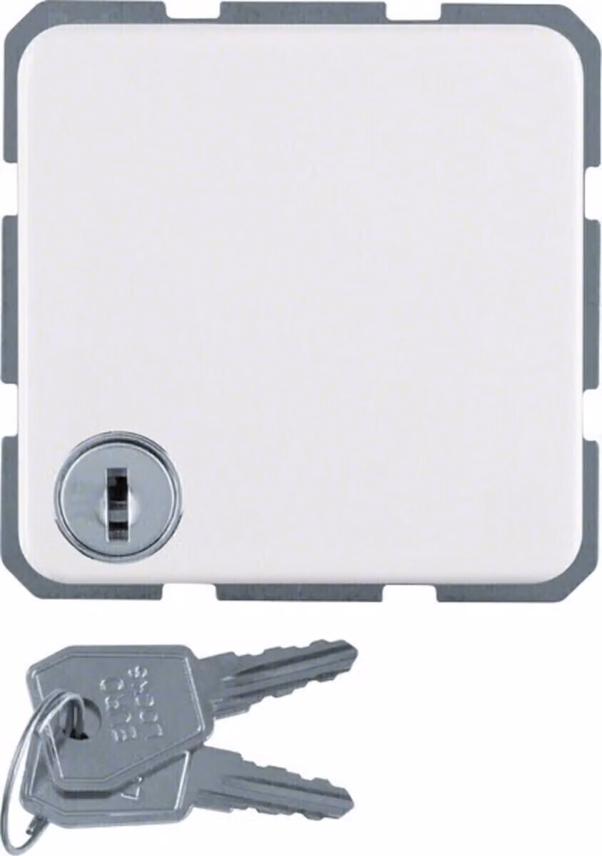 Presa Schuko Berker con coperchio incernierato 476309