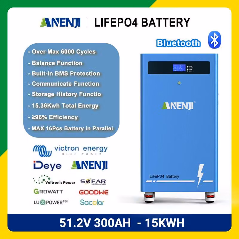 Batteria per accumulo di energia solare - 51,2V 300Ah - Batteria al litio ferrofosfato - Capacità di 16 kWh