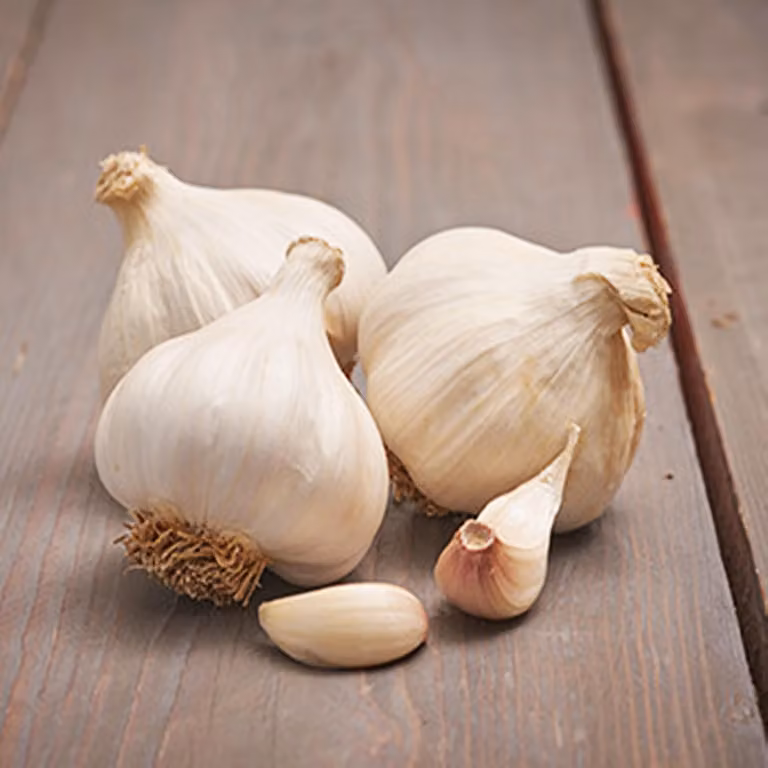 Aglio invernale Aglio bianco Messidrome commestibile 0,25 kg
