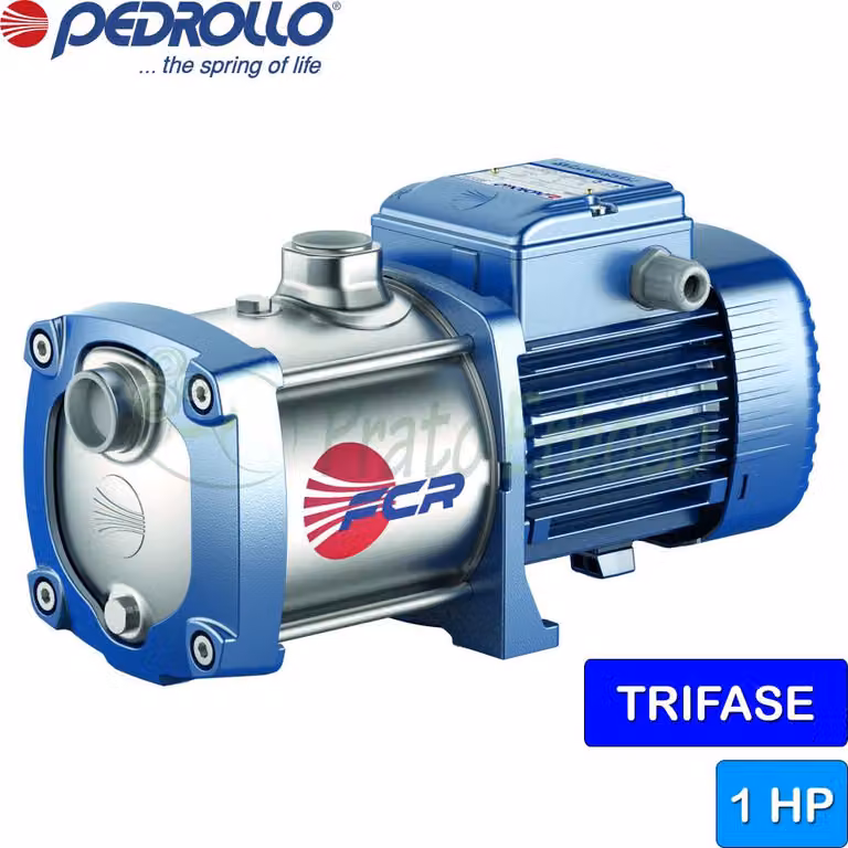 Elettropompa centrifuga multigirante trifase Pedrollo FCR 100/4