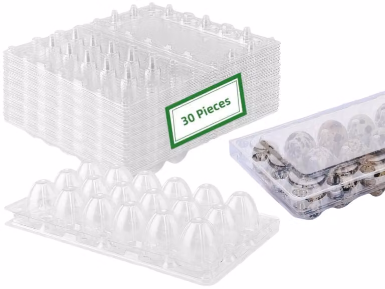 Set di 30 contenitori per uova di quaglia con coperchio