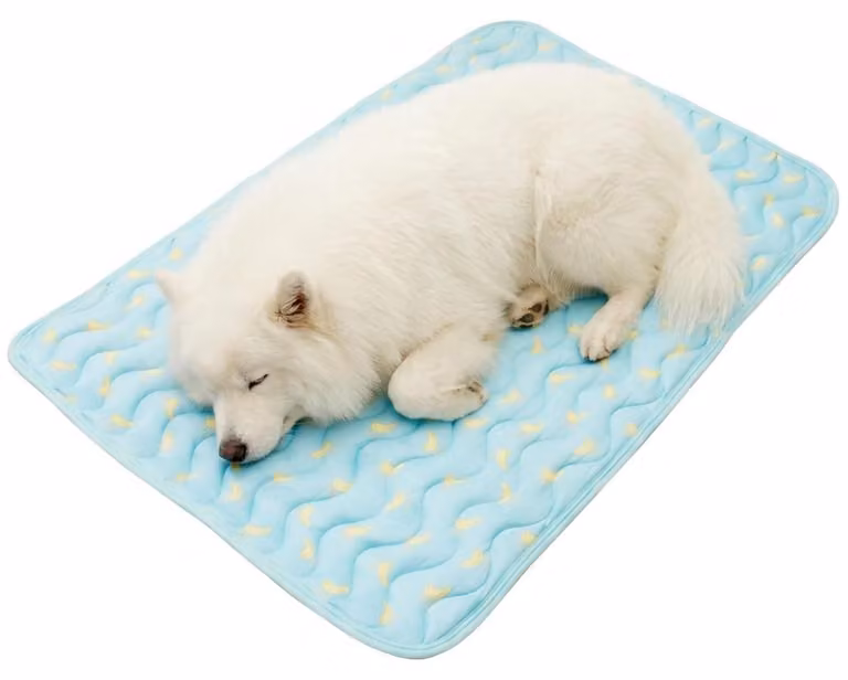 Tappetino refrigerante per cani, azzurro chiaro, 70 x 55 cm