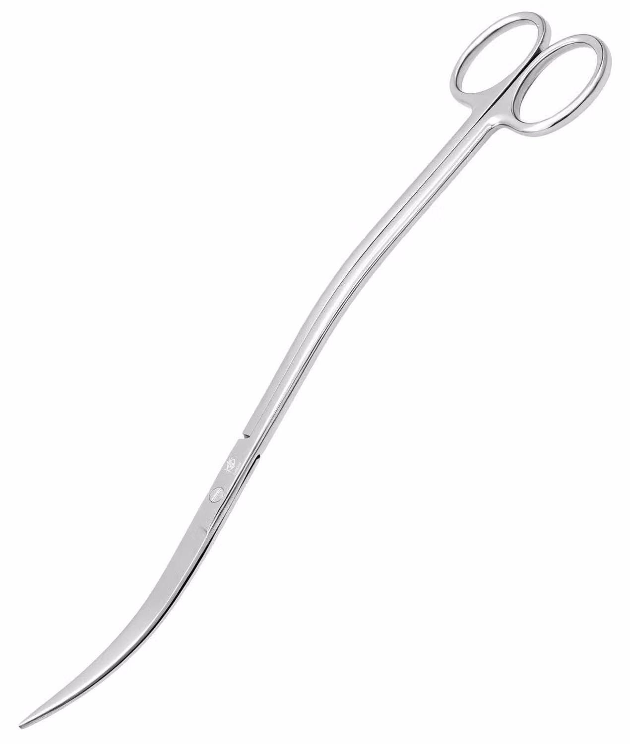 Forbice per acquari, a onda, in acciaio inossidabile, 25 cm, ideale per l'acquascaping