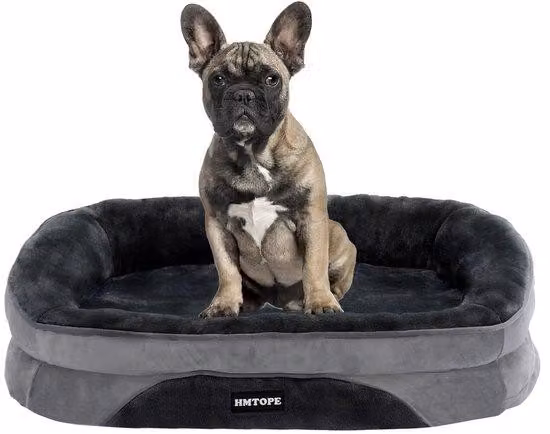 Comodo lettino per cani, cuscino con supporto per il collo, imbottitura per il collo su quattro lati, base antiscivolo, superficie per cani, facile da pulire, per cani di piccola taglia, 71 x 53 x 14 cm, grigio asfalto.