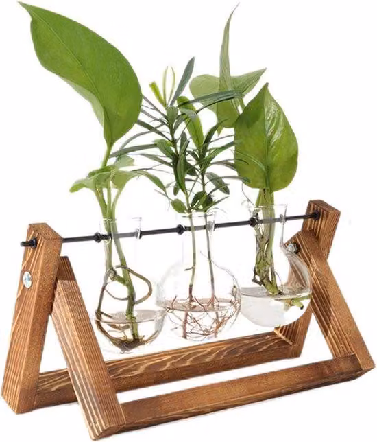 Kit per la coltivazione idroponica con supporto in legno e vasi in vetro stile retrò