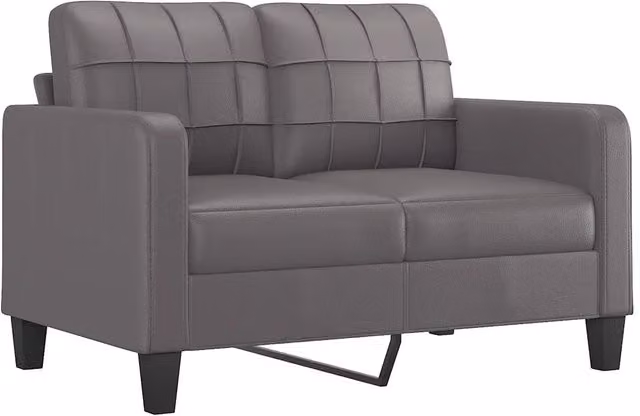 Divano | Divano da soggiorno | Sofa a 2 Posti Grigio 120 cm in Similpelle