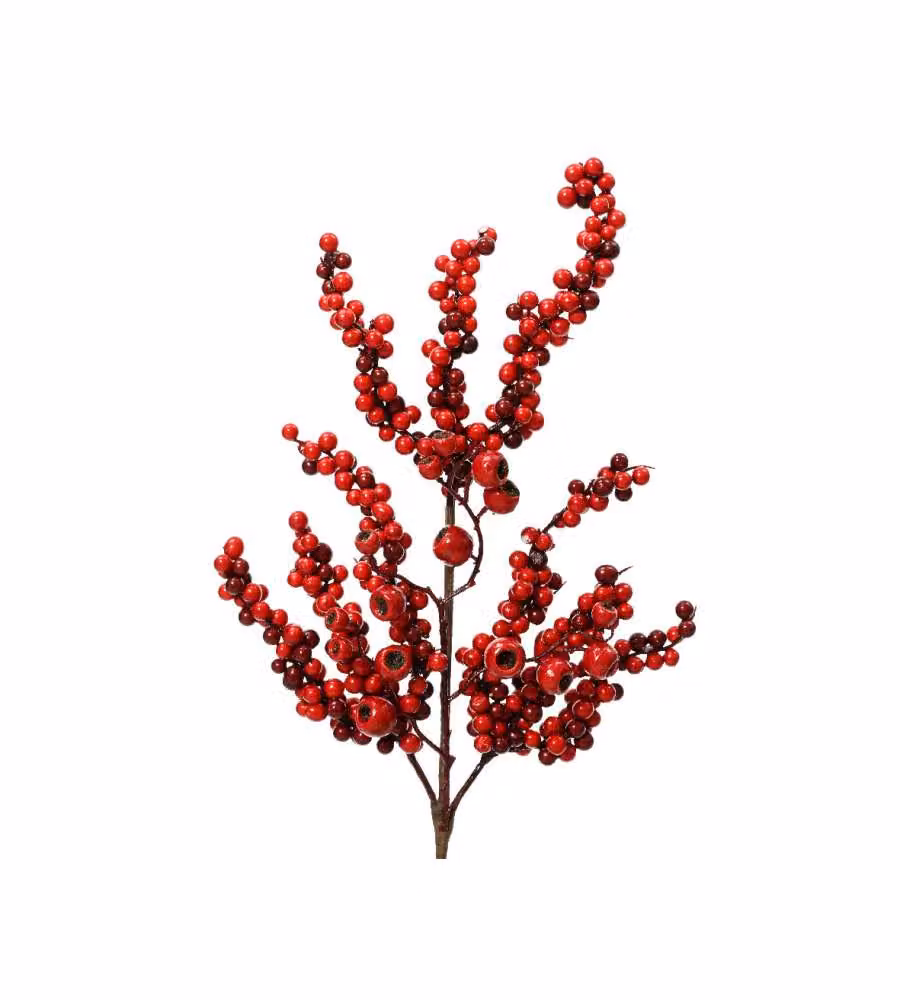 Fascio di bacche rosse 15x60