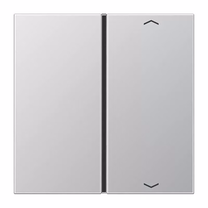 Jung AL2401TSAP Pulsante singolo con simboli in alluminio