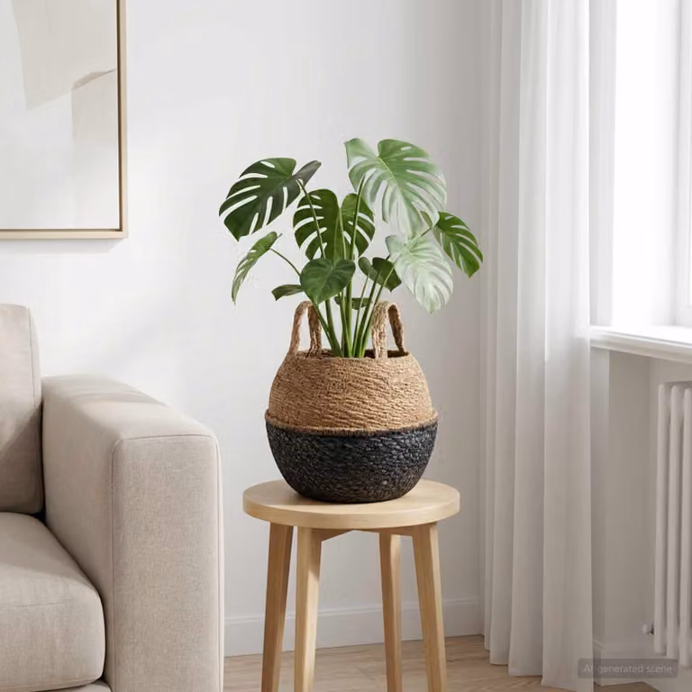 vidaXL Vaso da fiori con manici in erba marina nera, Diametro: 22 cm, Altezza: 20 cm
