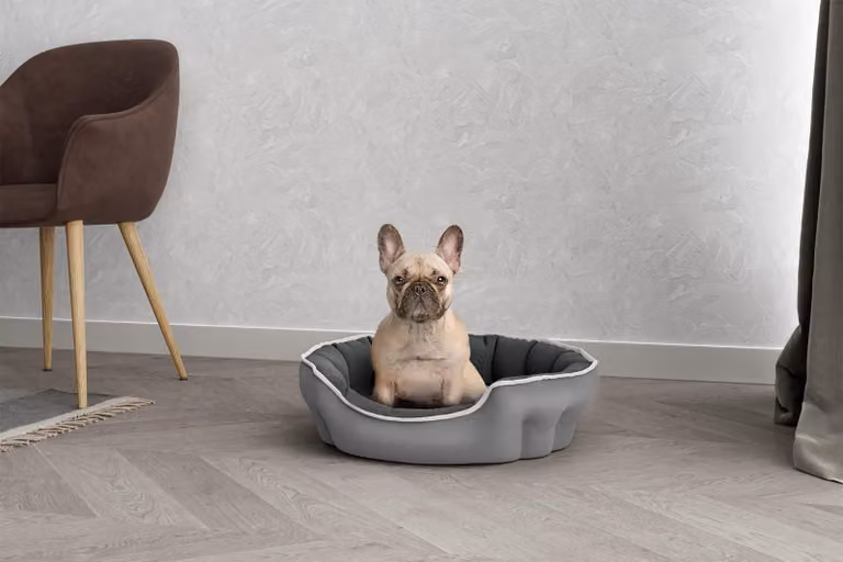Cuccia per cani e gatti "Enjoy" della marca Italian Bed Linen, dimensioni 59x53 cm, colore grigio chiaro/grigio scuro