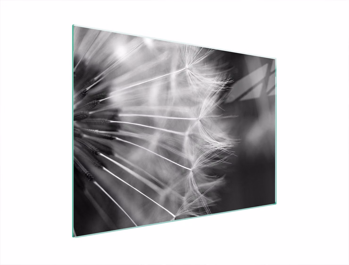 Piastra Di Protezione In Vetrina Per Levi 70X52 Blume