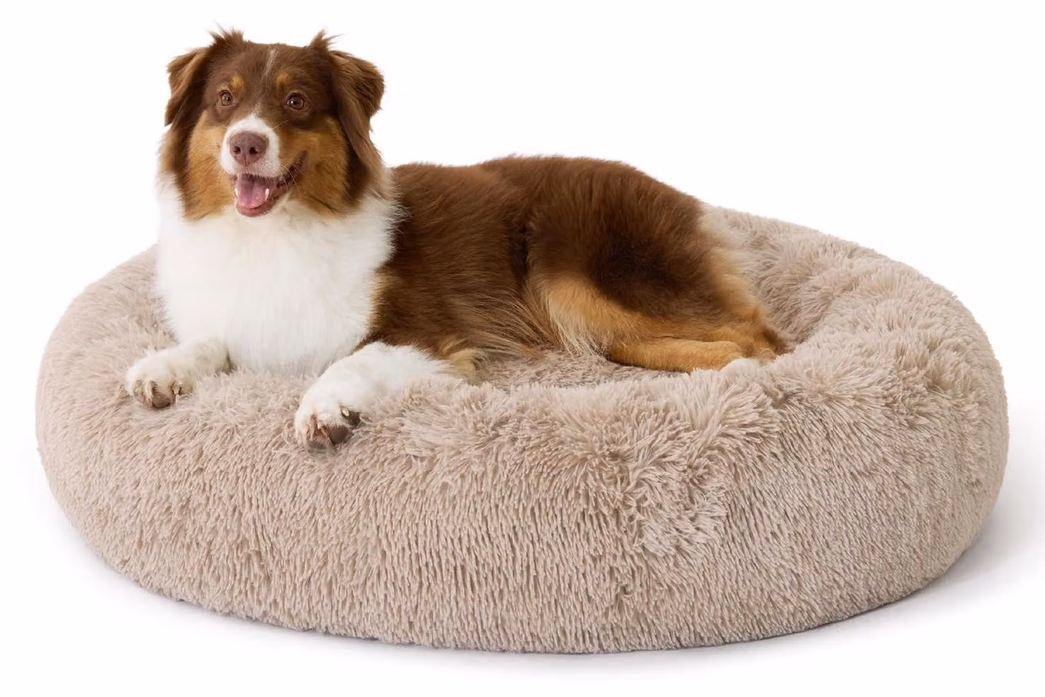 Cuccia per cani, rotonda, lavabile, morbida, diametro 100 cm, color cammello