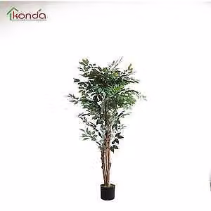 PIANTA Ornamentale Artificiale completa di base FICUS cm. 150 pz. 2