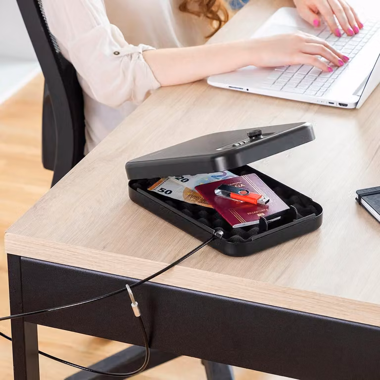 Cassaforte portatile con cavo di sicurezza Prisaven InnovaGoods