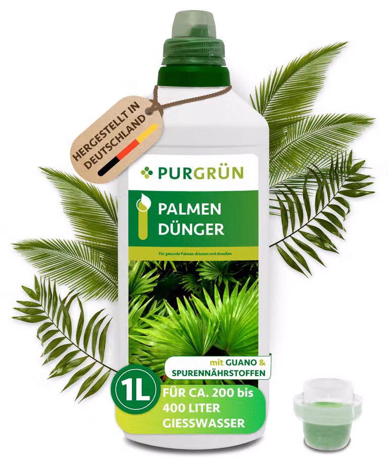 Concime per palme Purgreen 1 litro