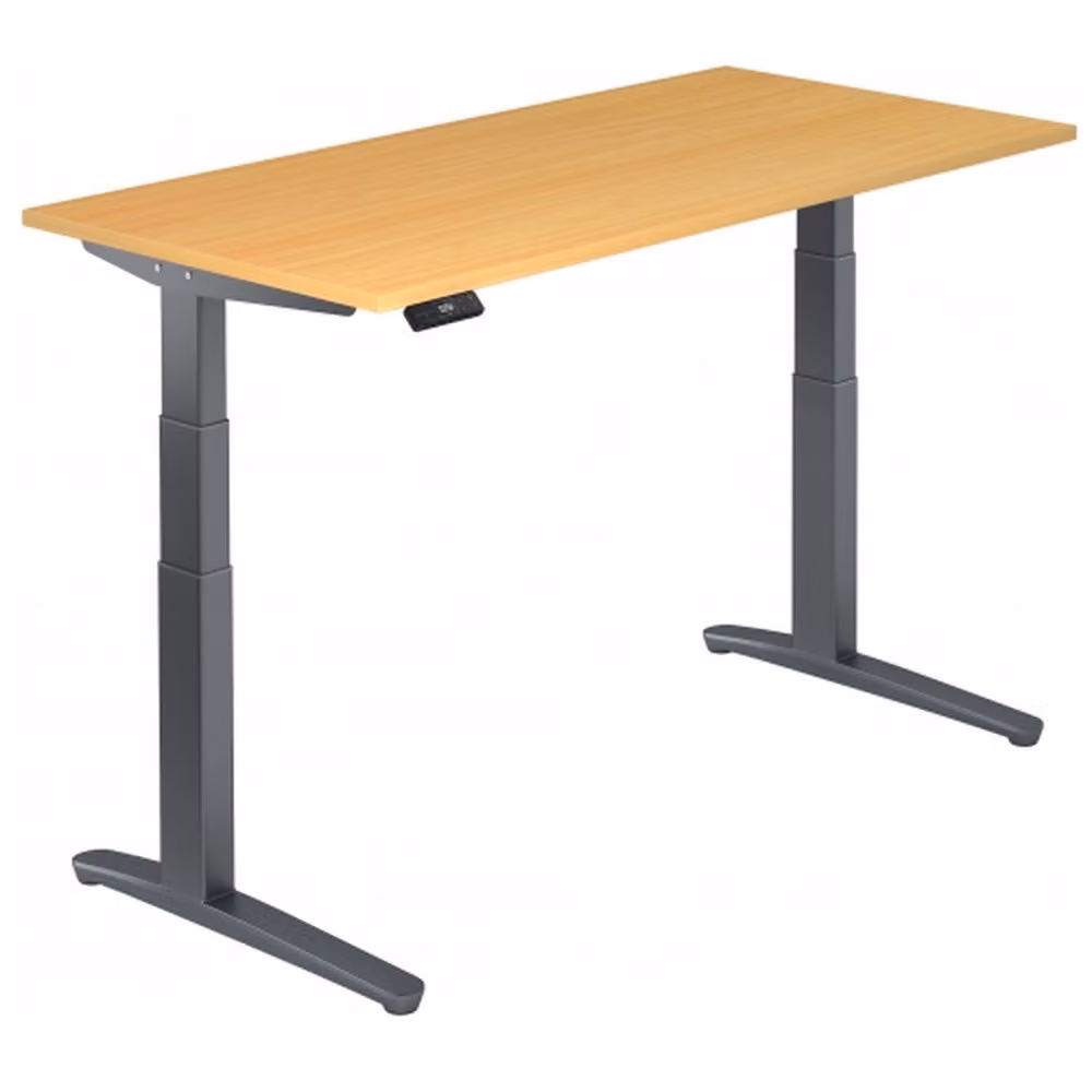 XBHM 16 GG - Faggio 160 x 80, regolabile elettricamente in altezza