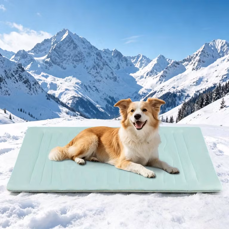 Coperta per cani, lavabile, reversibile, 91 x 58 cm, verde